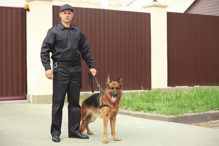 basic_Security_Officer