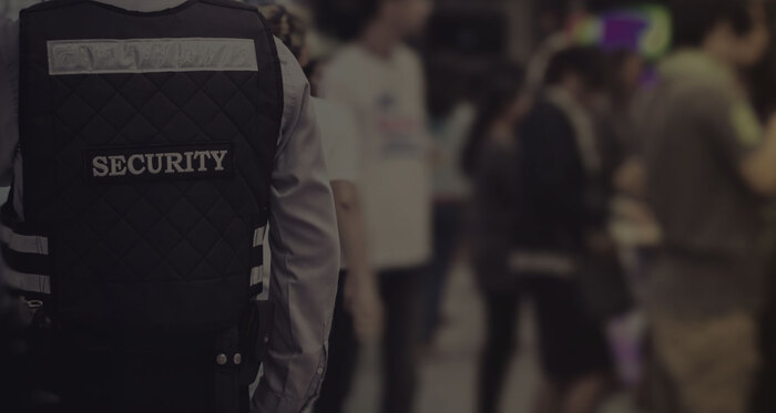 Guard-in-Crowd