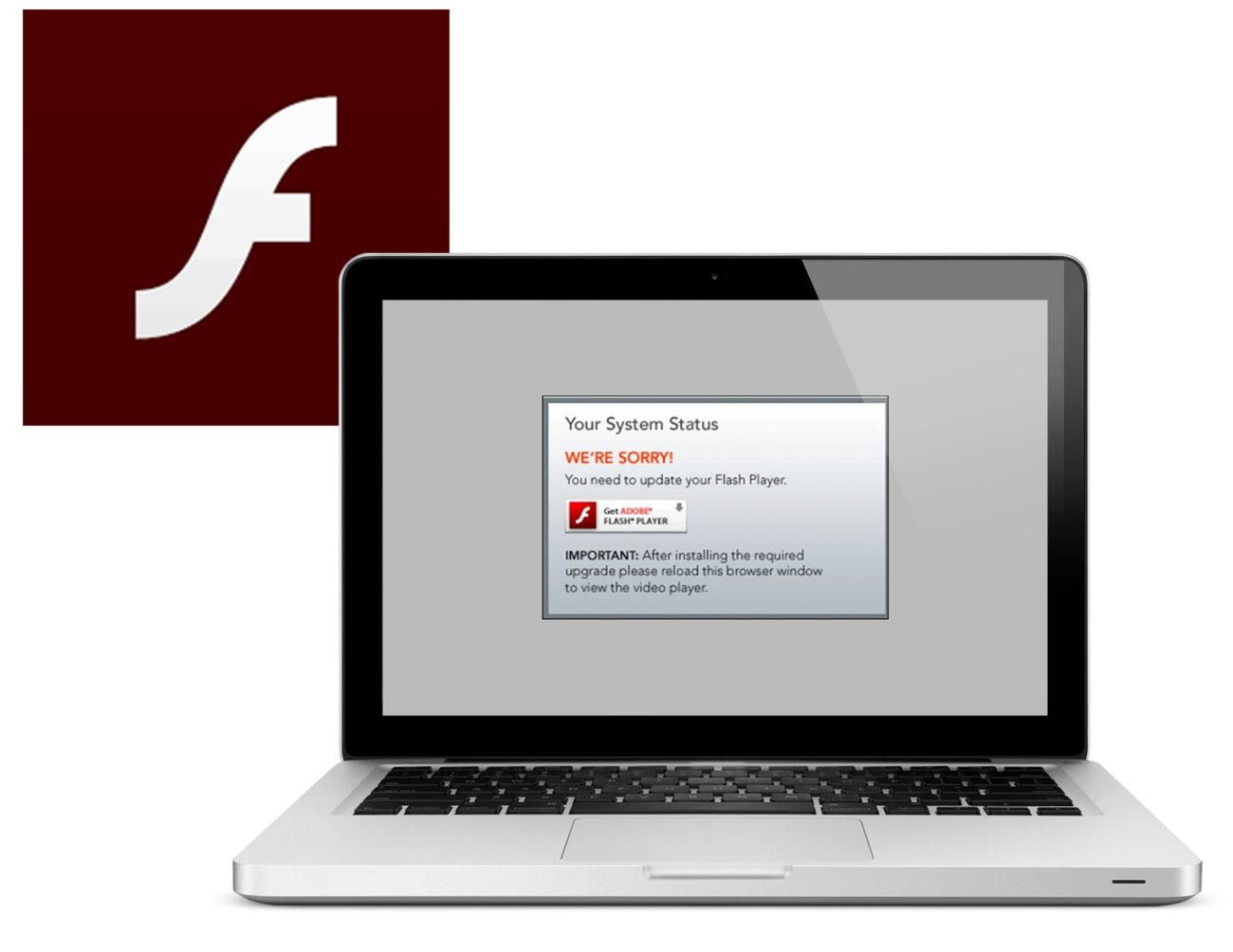 updateflash-white